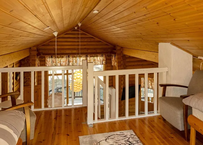 度假居 Hirsikoto By Interhome 萨利色尔卡